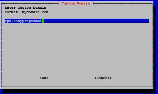 Custom Domains Screenshot