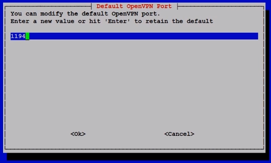OpenVPN Port Screenshot