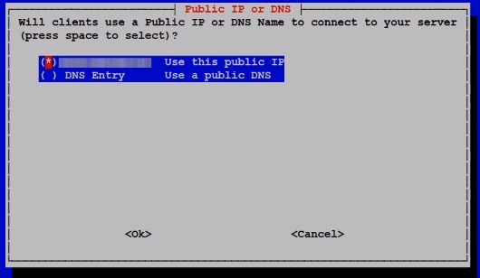 Public IP Address Screenshot